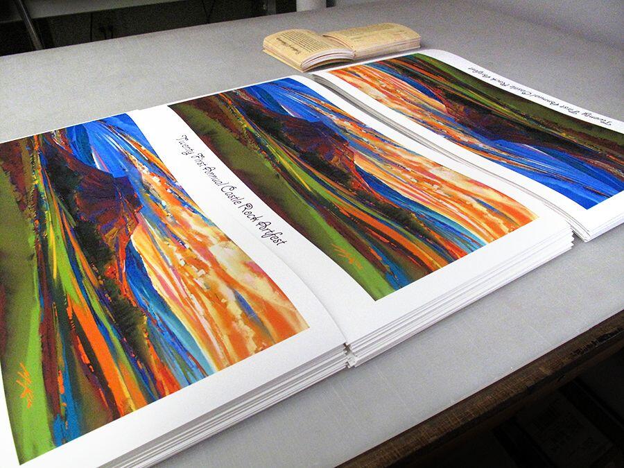 Giclée printer producing fine art prints on multiple paper stocks